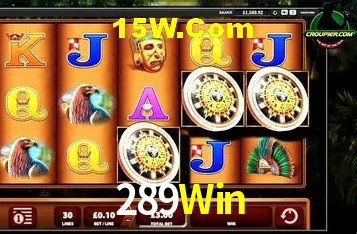 Bônus e promoções da 289Win
