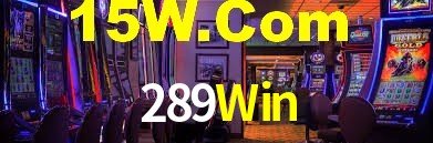 289Win App Interface