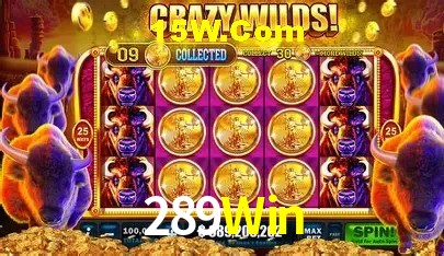 Jackpots e promoções na 289Win